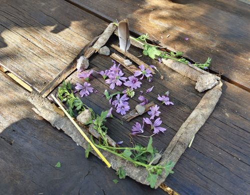 LABORATORIO DI LAND ART