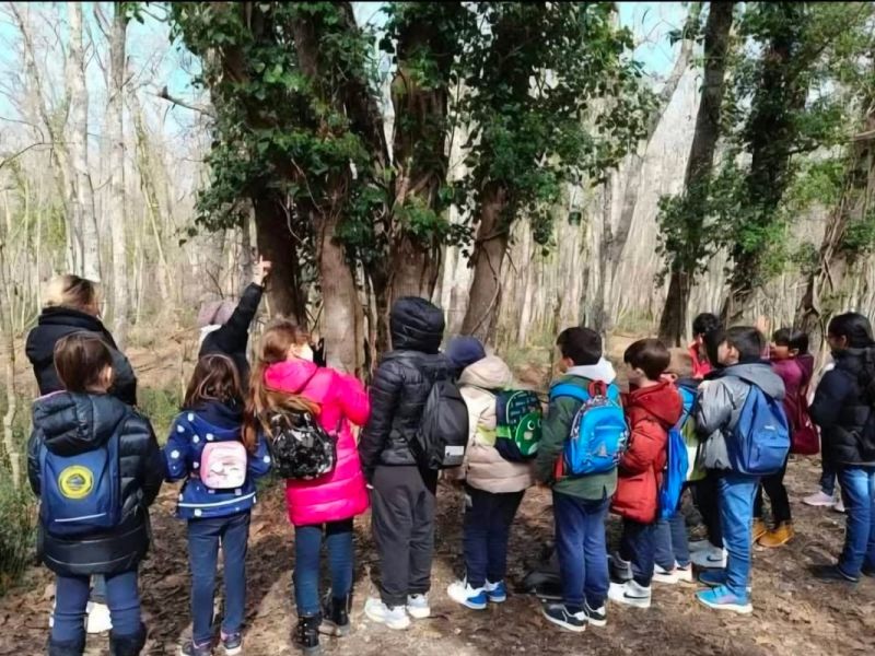 FORESTA – Parco Nazionale del Circeo
