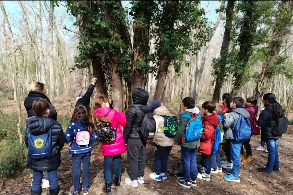 FORESTA – Parco Nazionale del Circeo