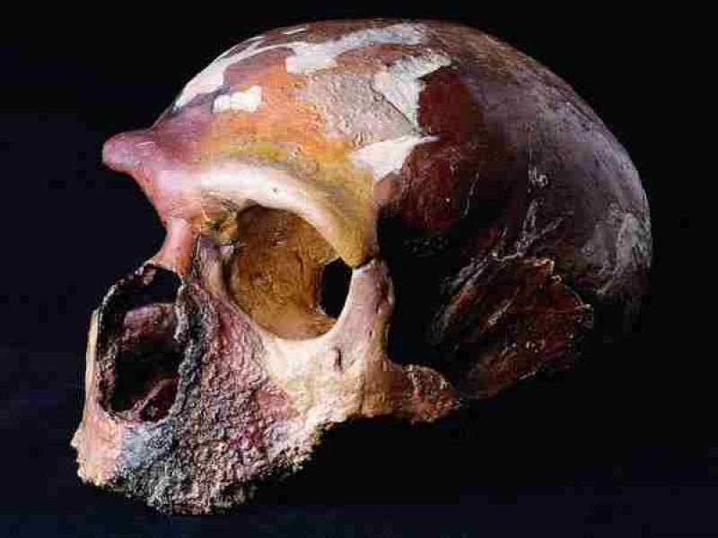 “PRIMITIVO A CHI?” – Progetto didattico